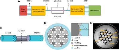 Nanoparticle-Based FM-MCF LSPR Biosensor With Open Air-Hole